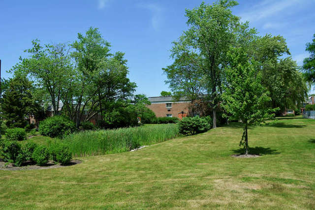 10385 Dearlove Road, Unit 2I Glenview, IL 60025 - Photo 23 of 26