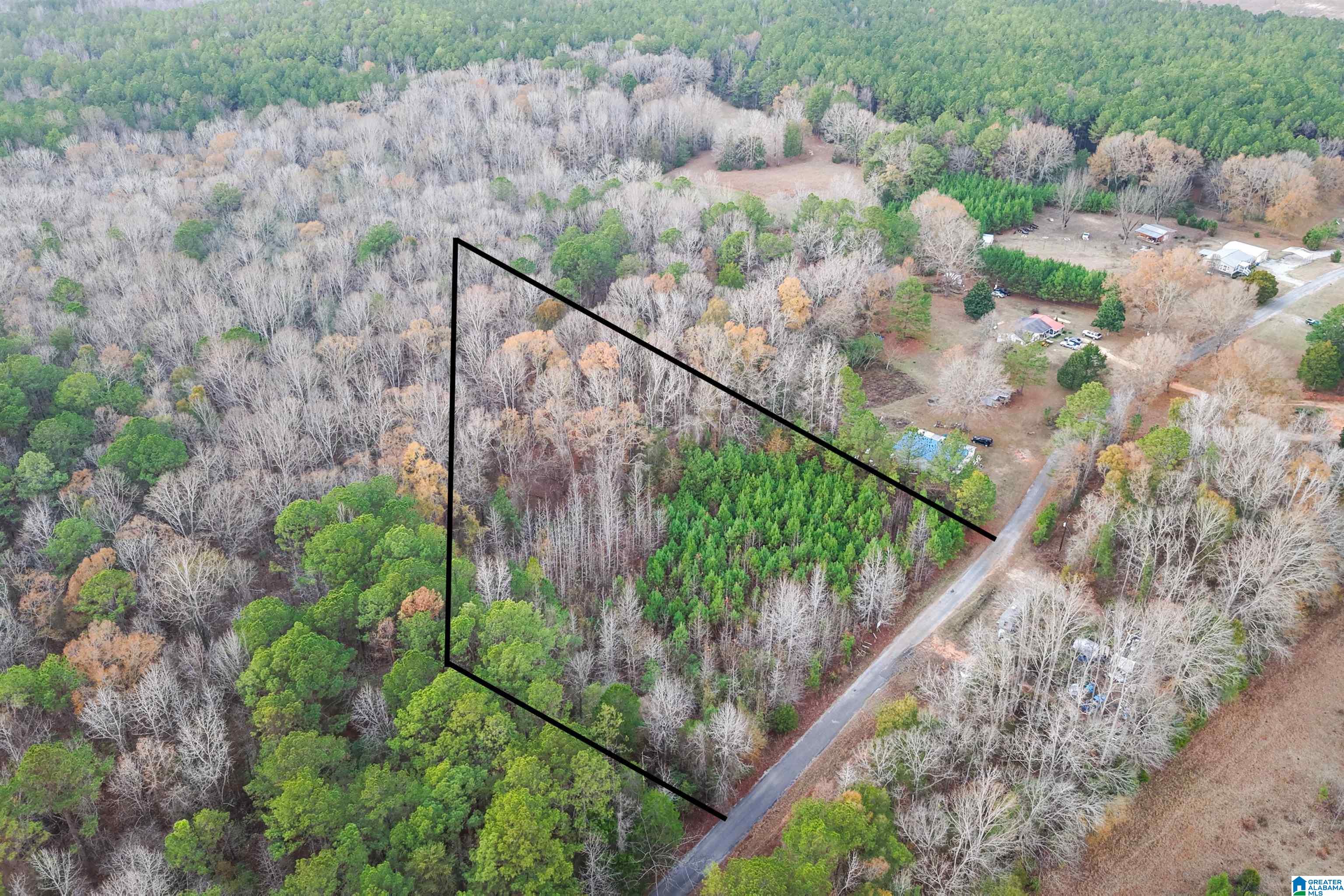 1830 Pine Tree Road Centreville, AL 35042 - Photo 10 of 11