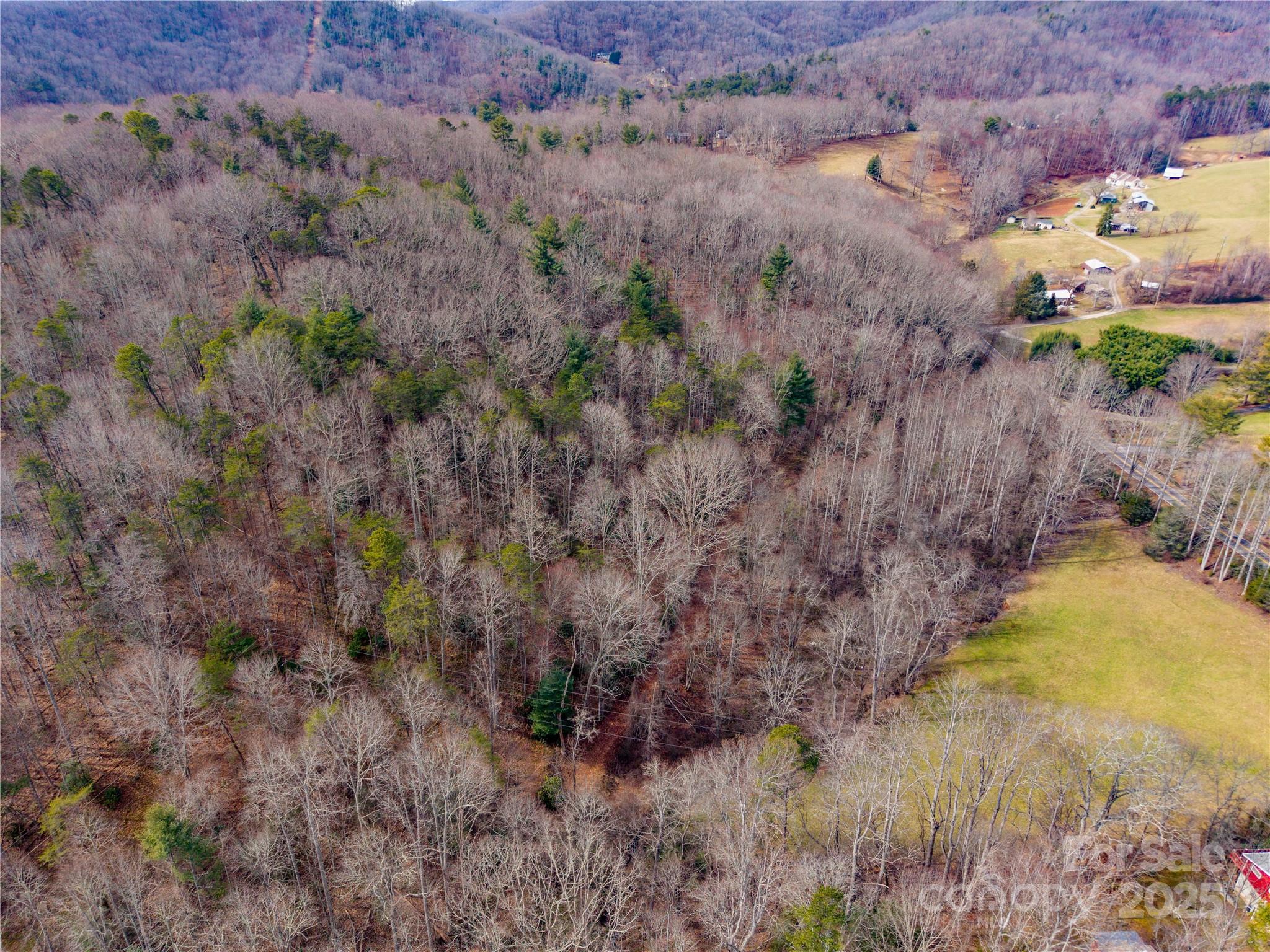 0 Big Cove Road Candler, NC 28715 - Photo 11 of 27