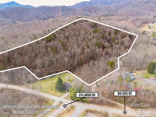 $525,000 | 0 Big Cove Road, Candler, NC 28715