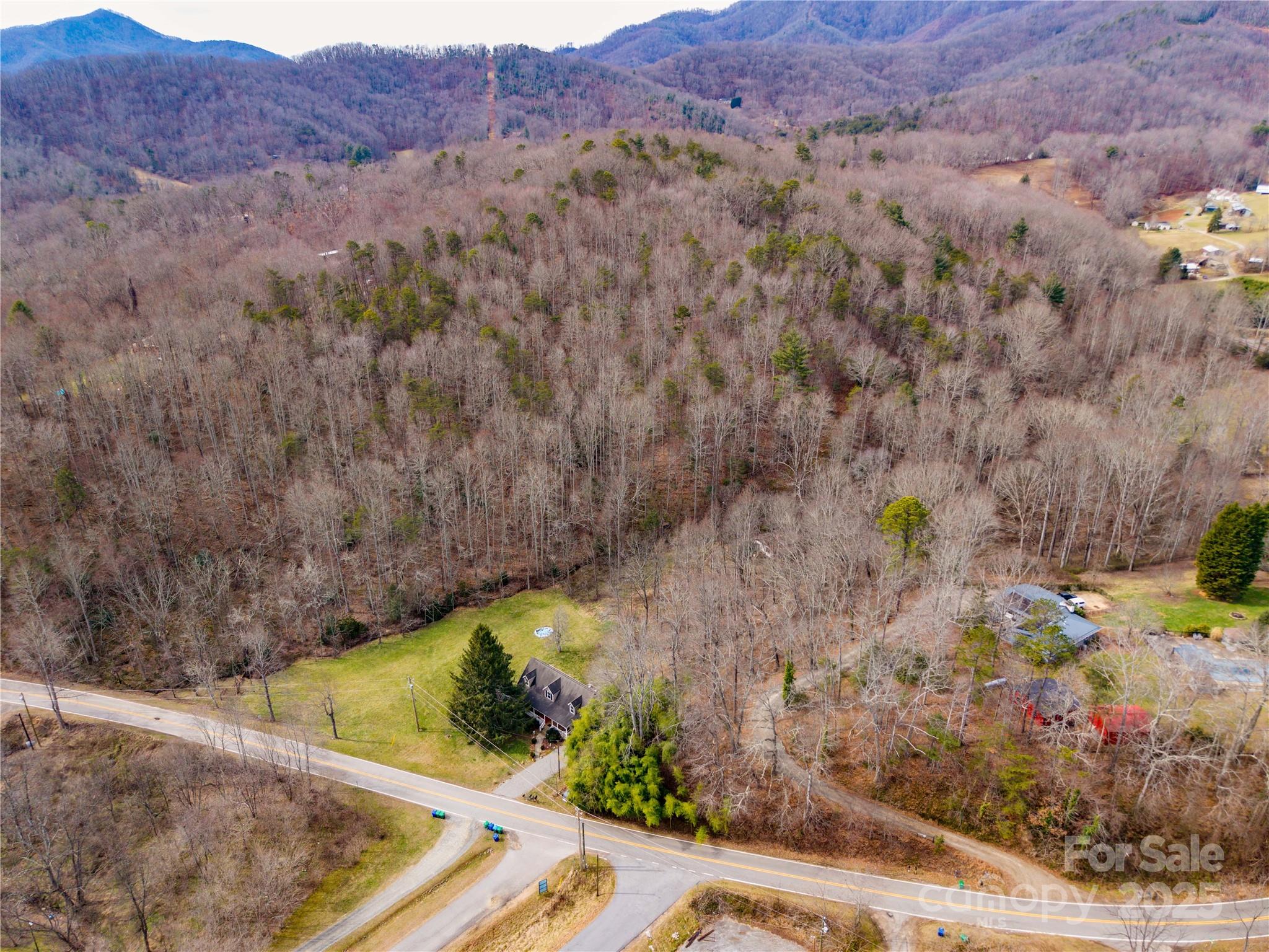 0 Big Cove Road Candler, NC 28715 - Photo 17 of 27