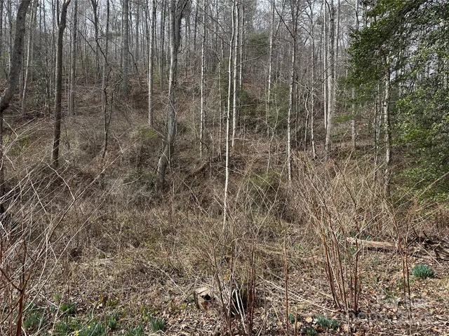 $525,000 | 0 Big Cove Road, Candler, NC 28715