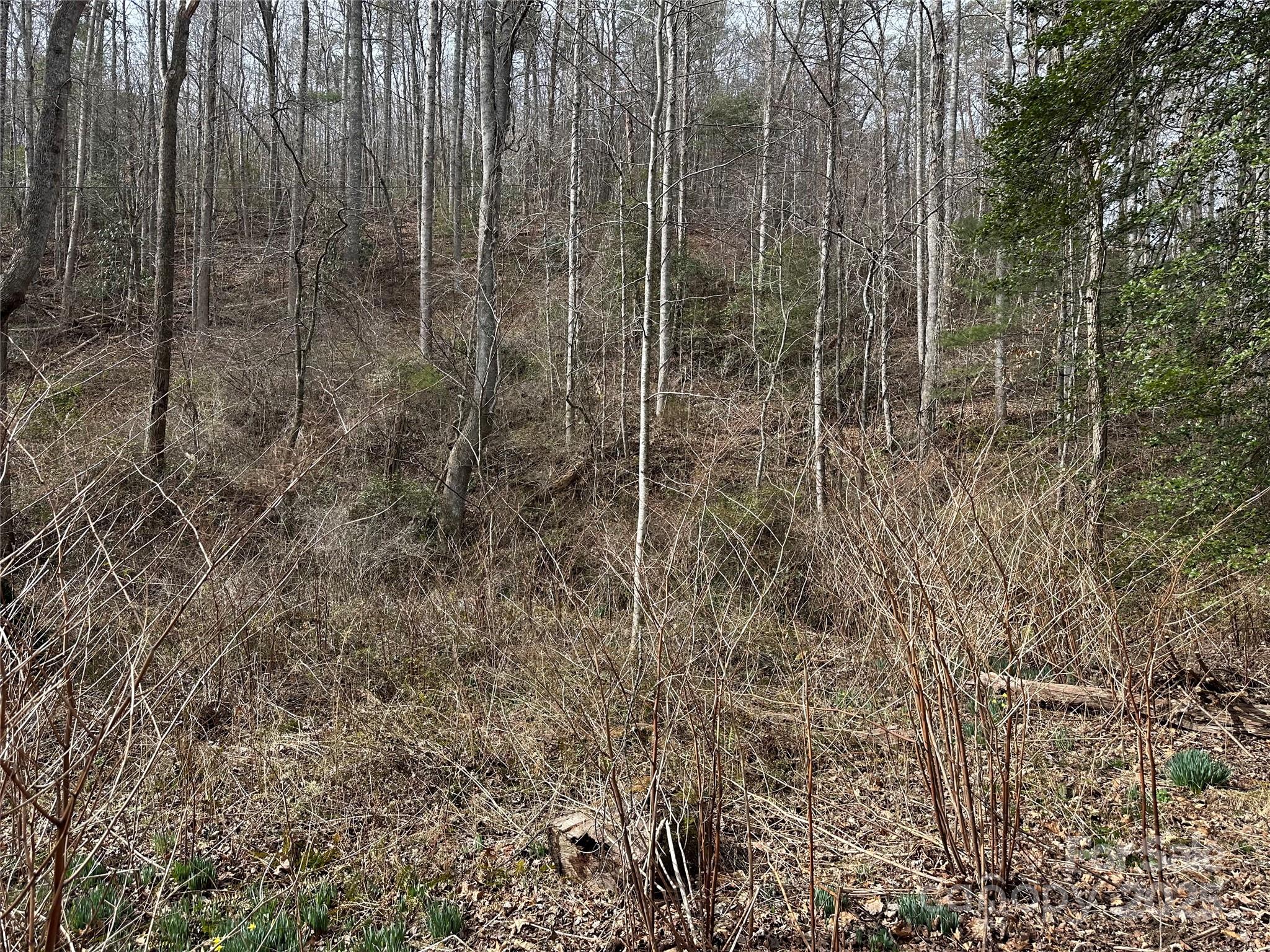 0 Big Cove Road Candler, NC 28715 - Photo 18 of 27