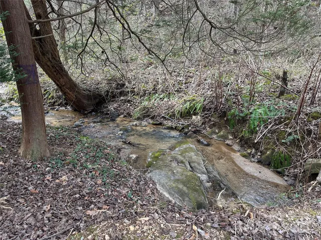 $525,000 | 0 Big Cove Road, Candler, NC 28715