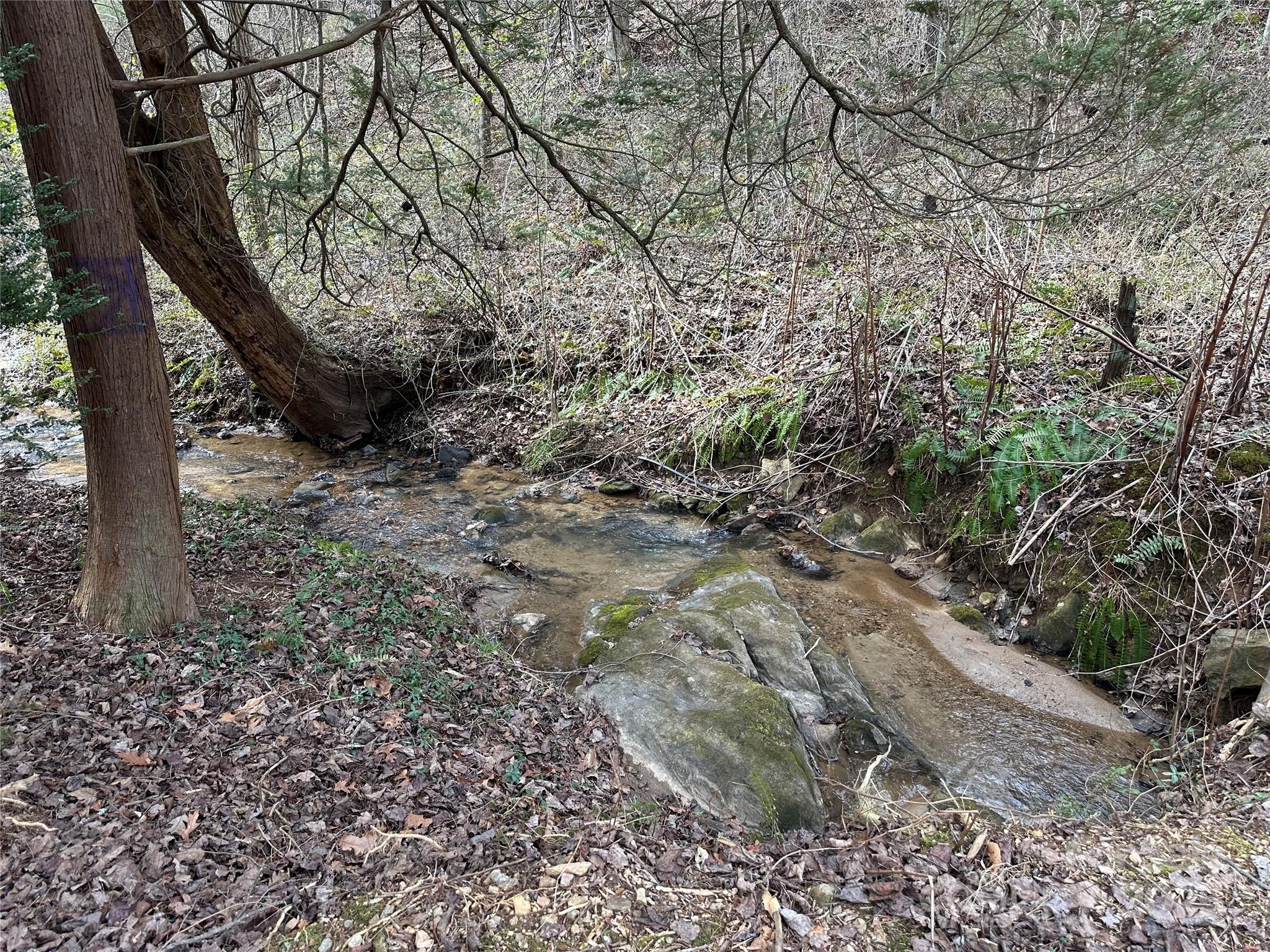 0 Big Cove Road Candler, NC 28715 - Photo 19 of 27