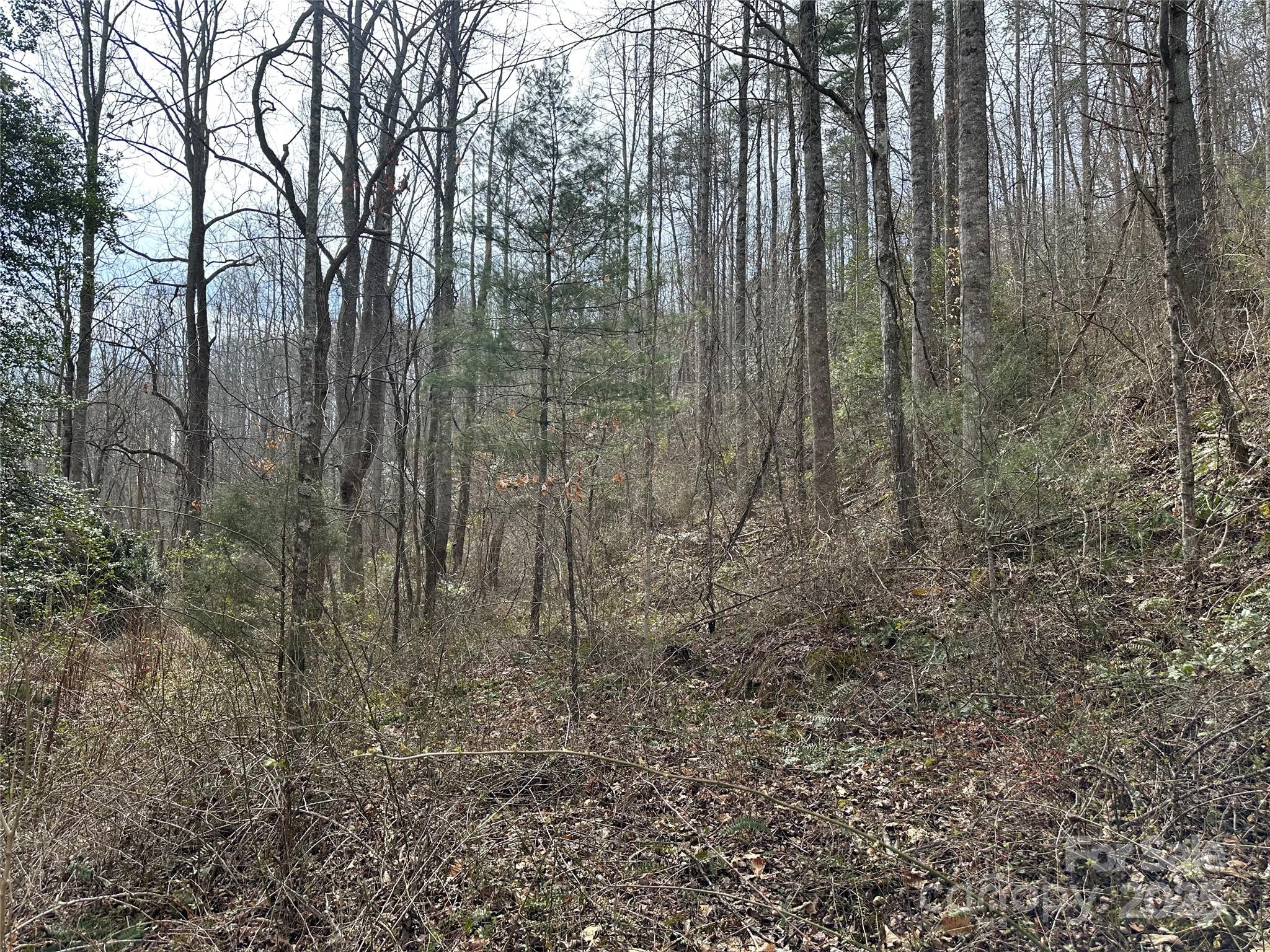 0 Big Cove Road Candler, NC 28715 - Photo 22 of 27