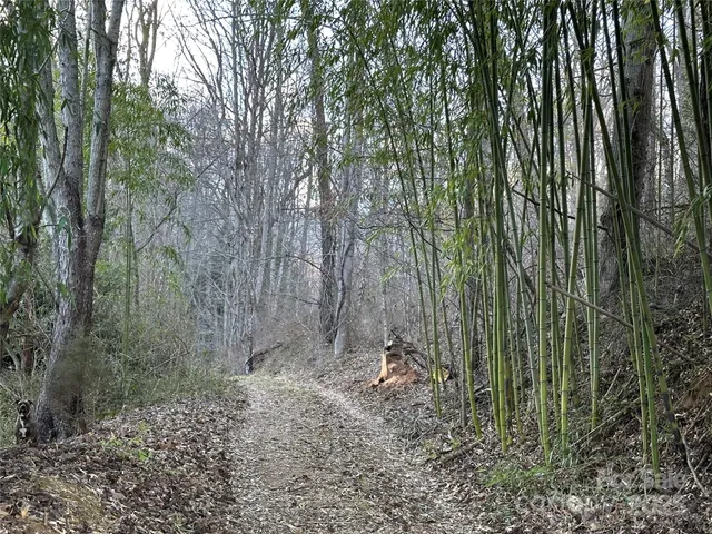 $525,000 | 0 Big Cove Road, Candler, NC 28715