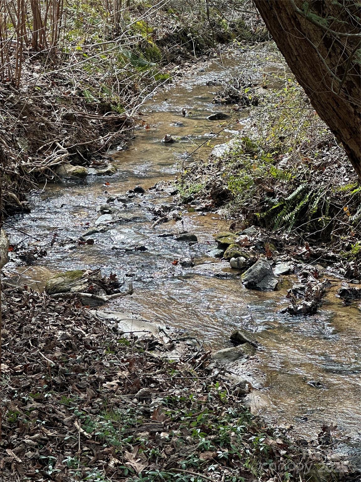 0 Big Cove Road Candler, NC 28715 - Photo 3 of 27