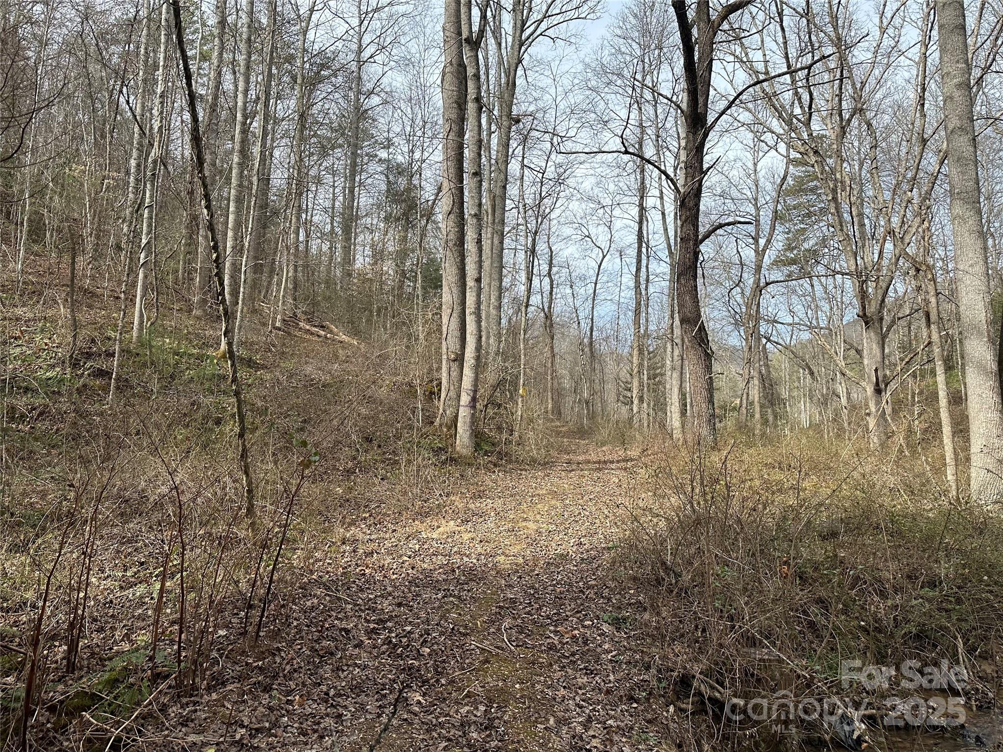 0 Big Cove Road Candler, NC 28715 - Photo 4 of 27