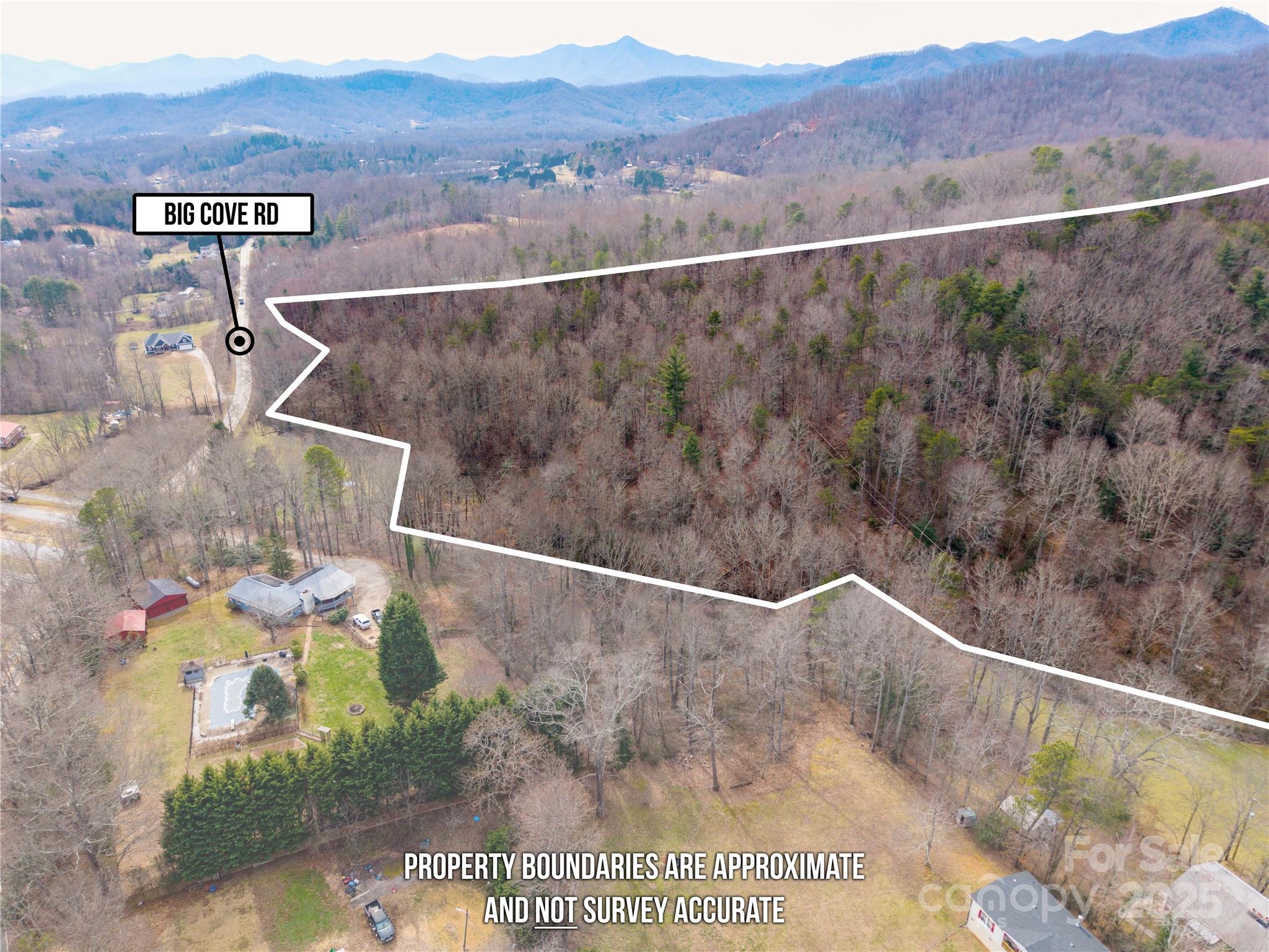 0 Big Cove Road Candler, NC 28715 - Photo 5 of 27