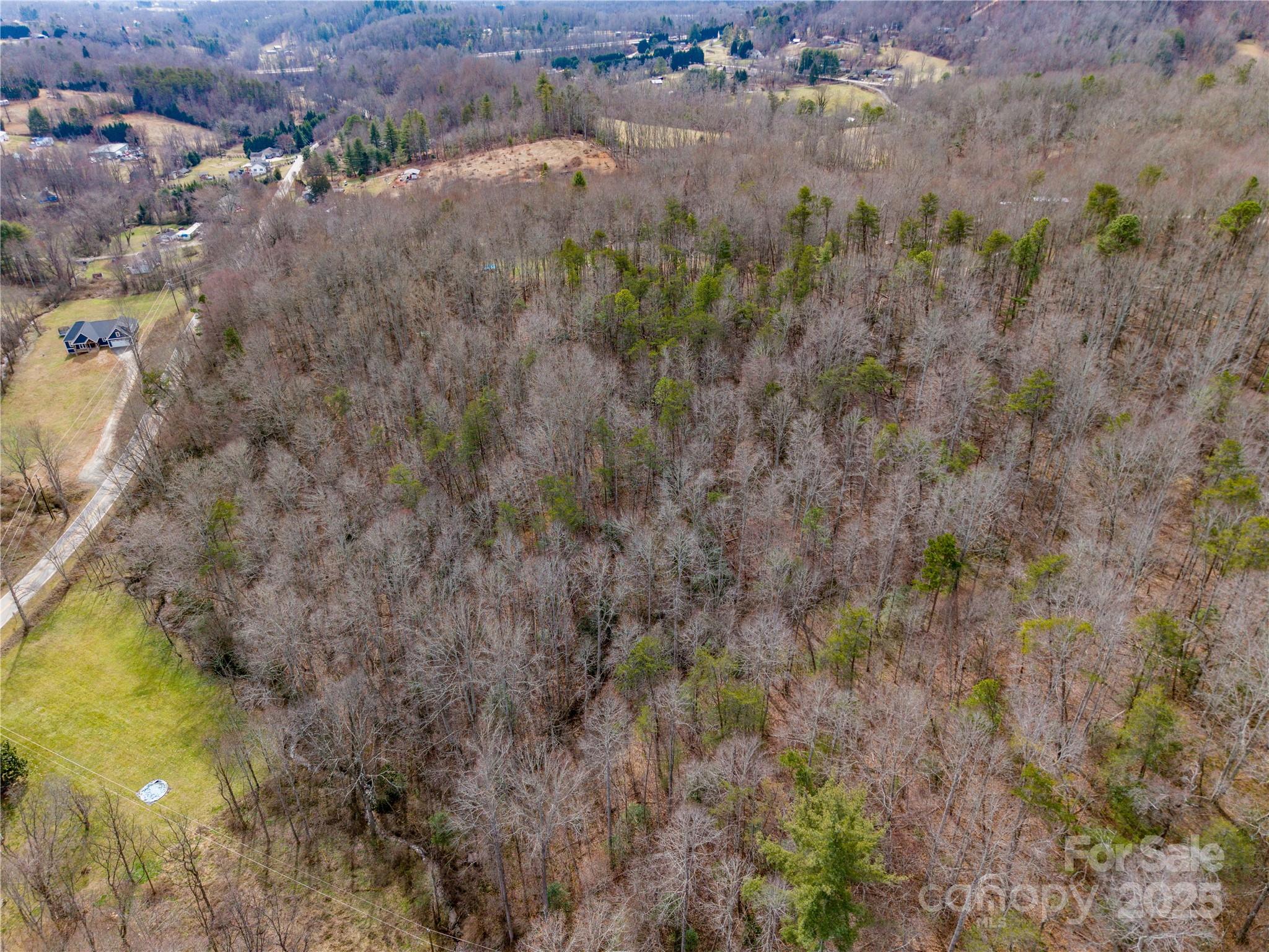 0 Big Cove Road Candler, NC 28715 - Photo 6 of 27