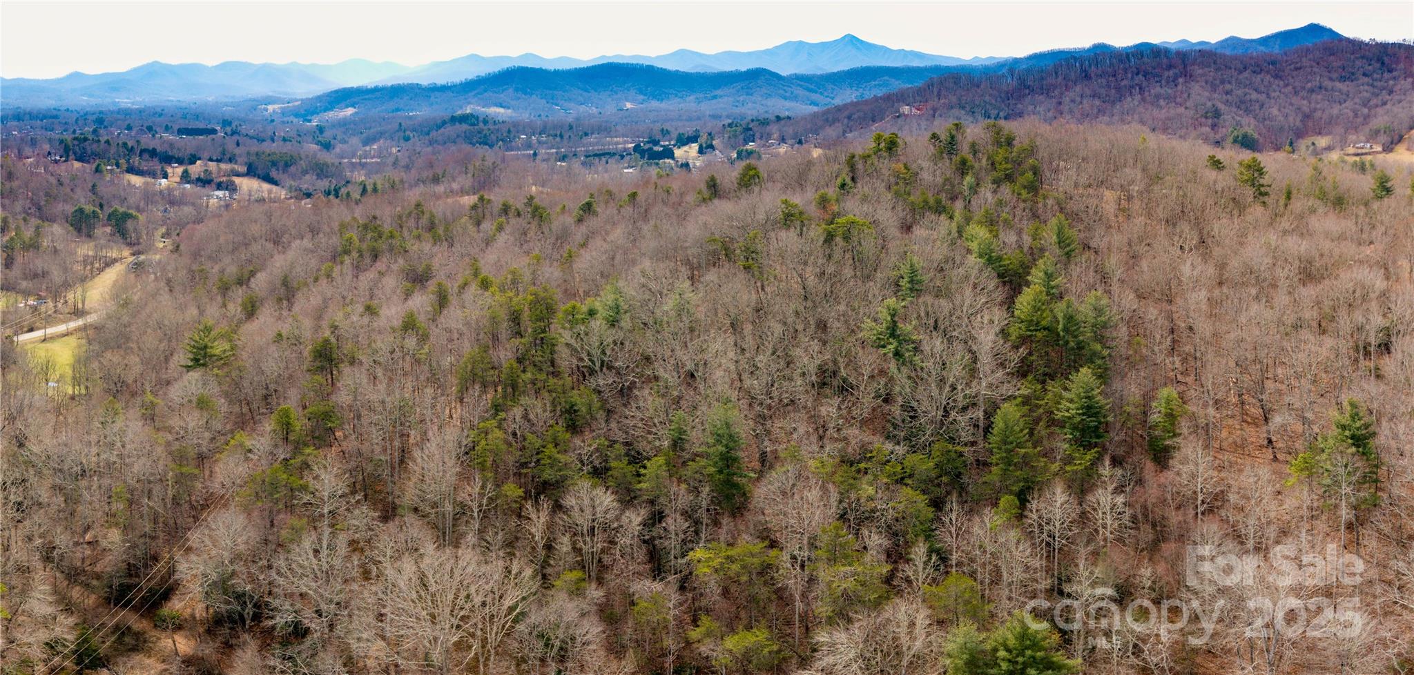 0 Big Cove Road Candler, NC 28715 - Photo 7 of 27