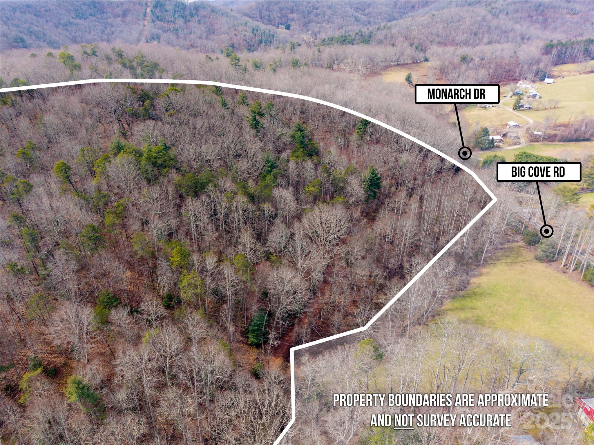 0 Big Cove Road Candler, NC 28715 - Photo 8 of 27