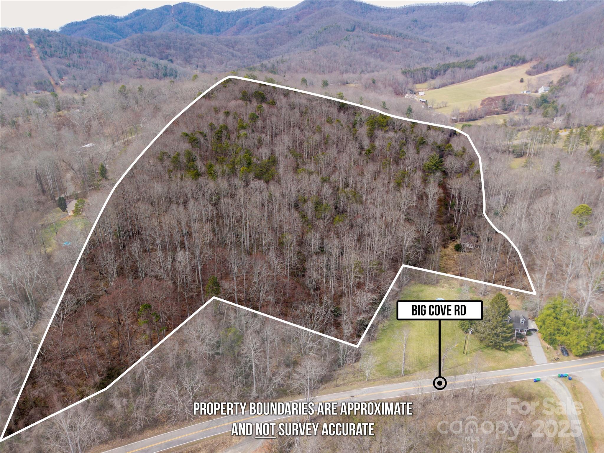 0 Big Cove Road Candler, NC 28715 - Photo 9 of 27