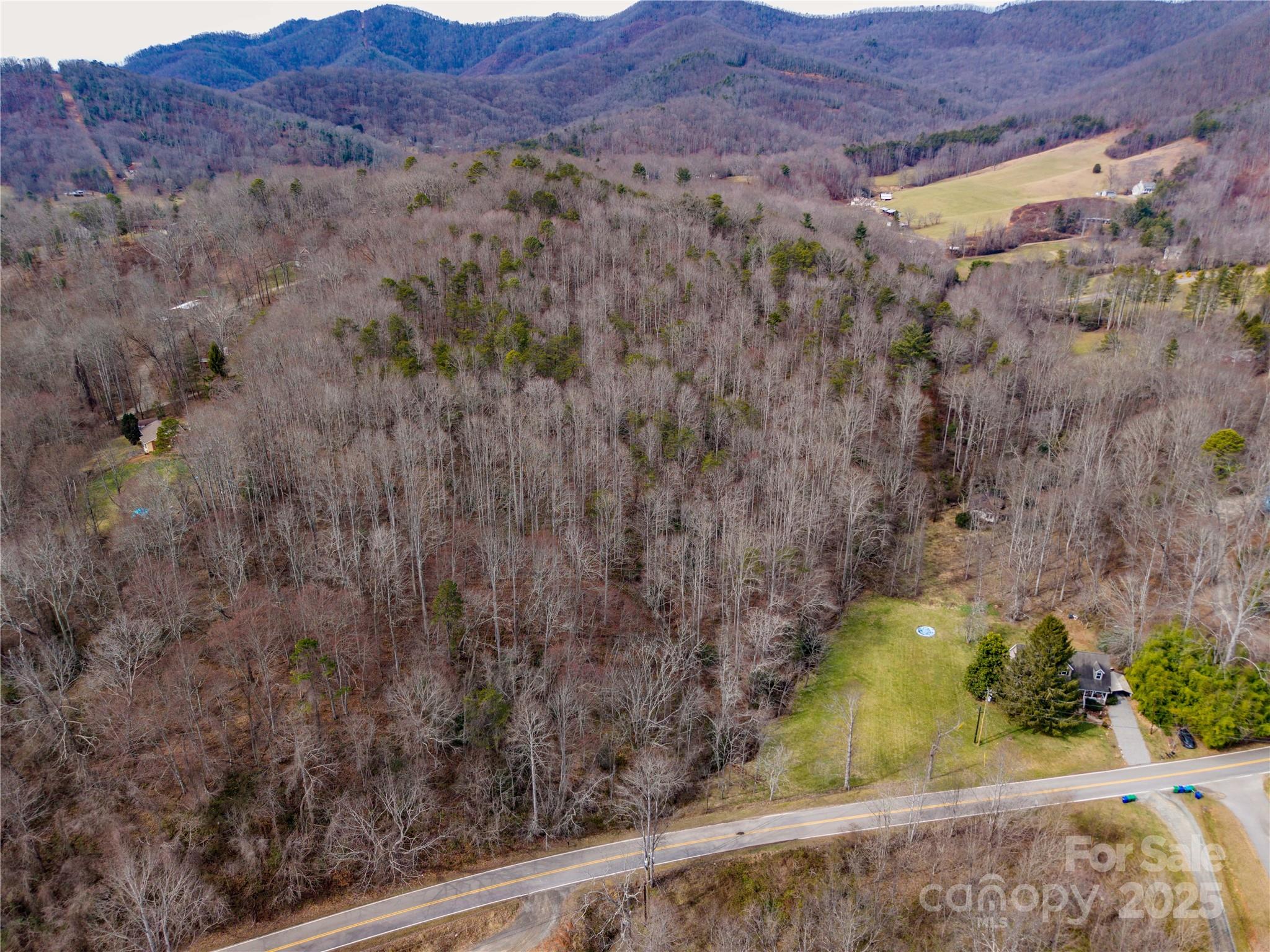 0 Big Cove Road Candler, NC 28715 - Photo 10 of 27