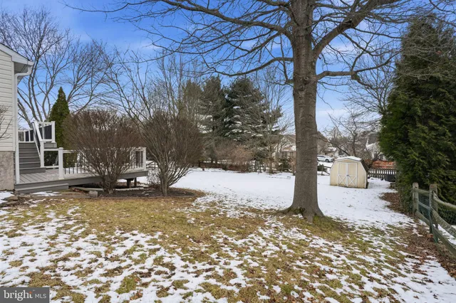 a view of a yard with a tree