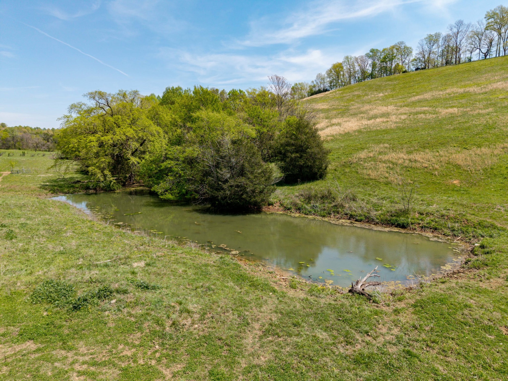 305 Ingram Road Pulaski, TN 38478 - Photo 15 of 29