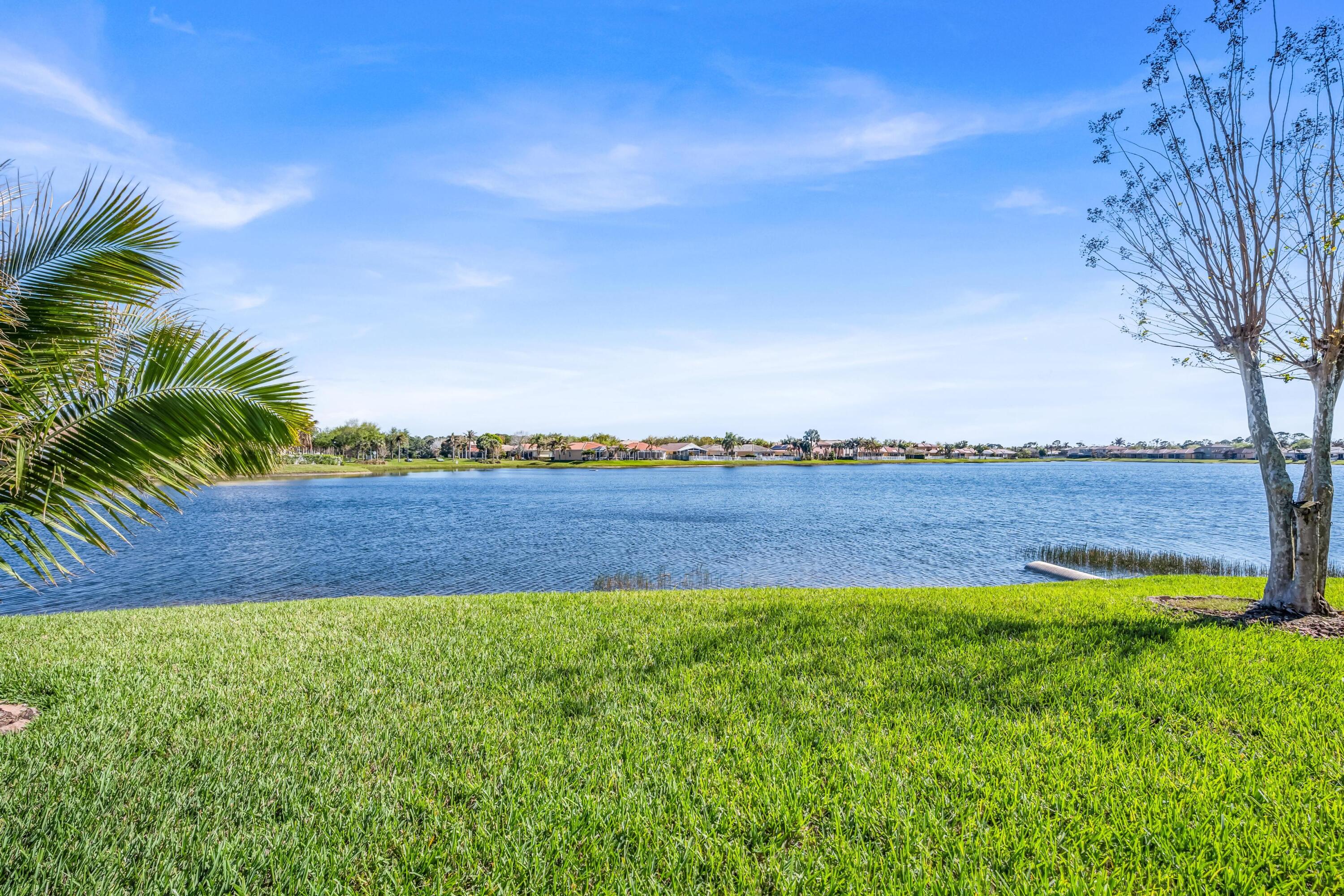 5902 Walnut Park Lane Fort Pierce, FL 34951 - Photo 37 of 45 a view of yard with palm trees
