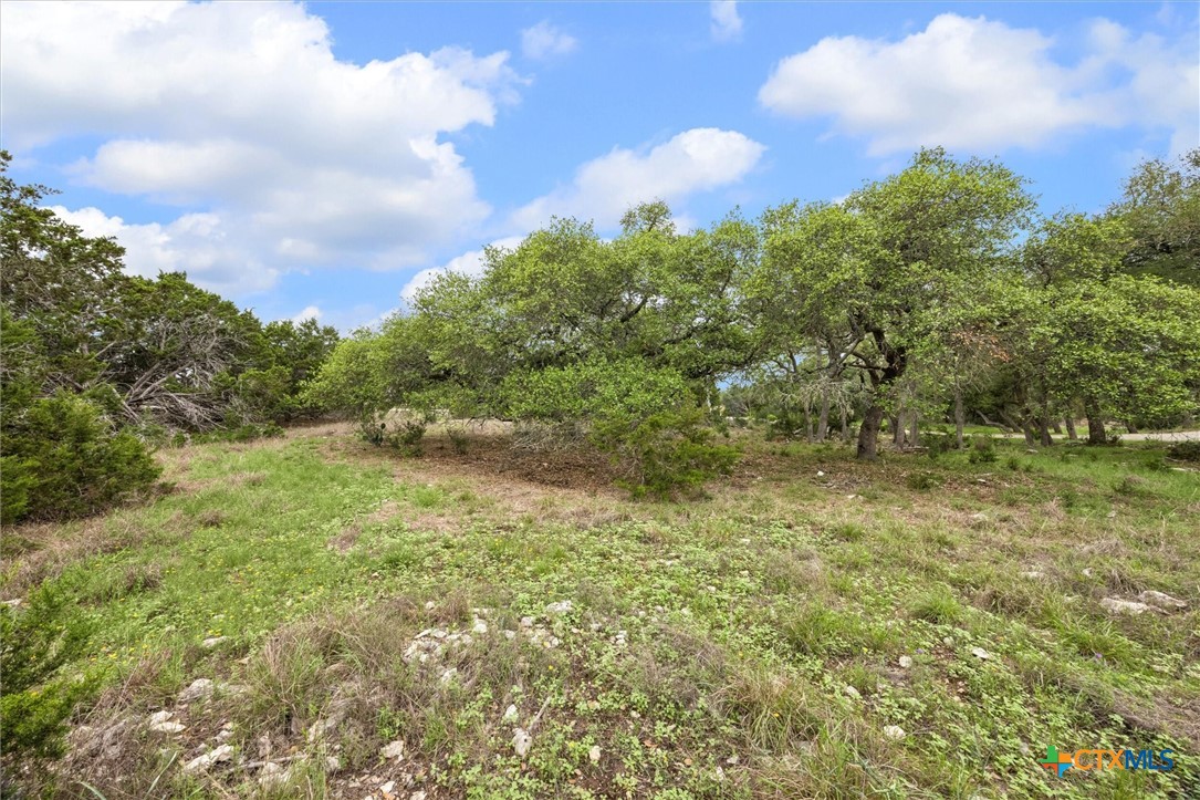 865 Rutherford Fischer, TX 78623 - Photo 7 of 11 a view of a field of grass and trees