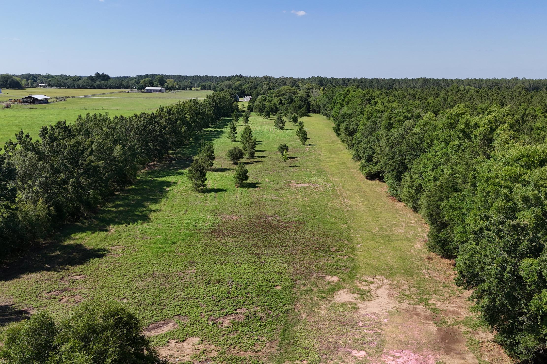 29701 Comstock Road Elberta, AL 36530 - Photo 6 of 31
