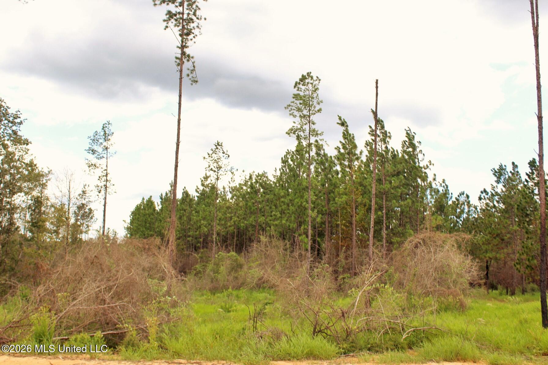 8.83-ac 8.83-ac Little Cedar Road Lucedale, MS 39452 - Photo 1 of 12 1