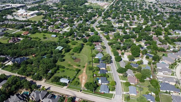 a view of a tree with a plant