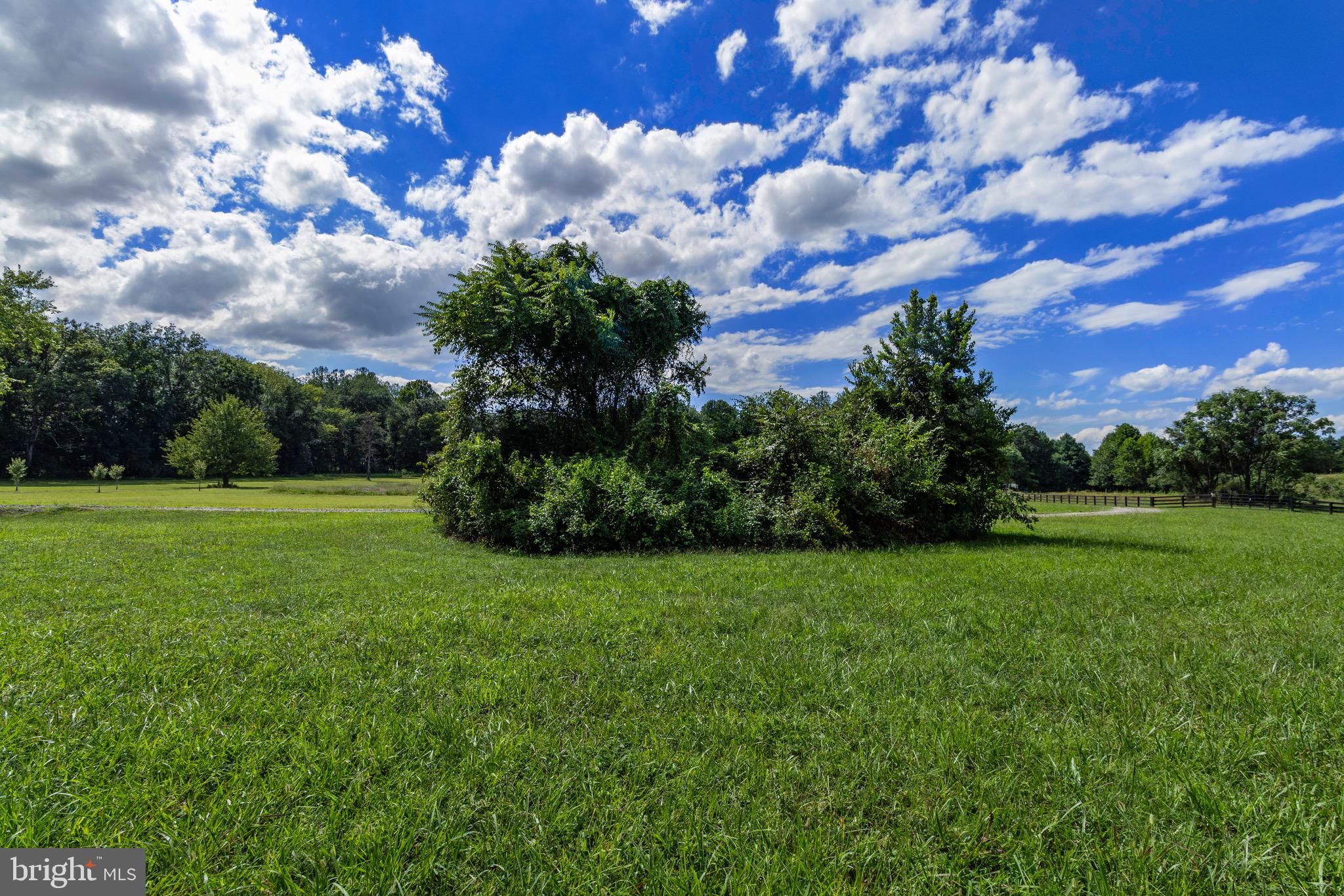 Oak Shade Rixeyville, VA 22737 - Photo 11 of 12 Gallery Image 11