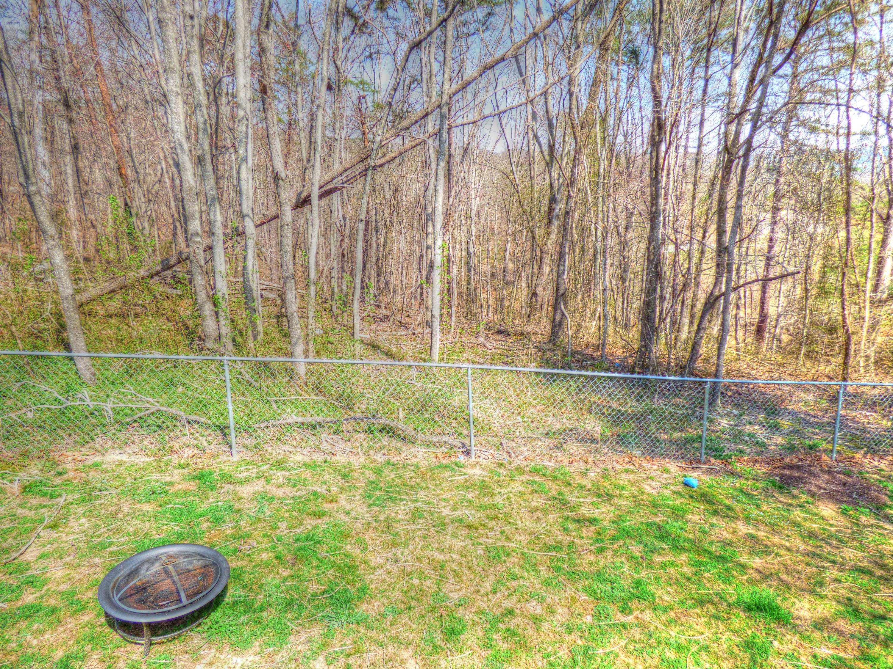890 Rob Knob Road Salem, VA 24153 - Photo 11 of 19 7