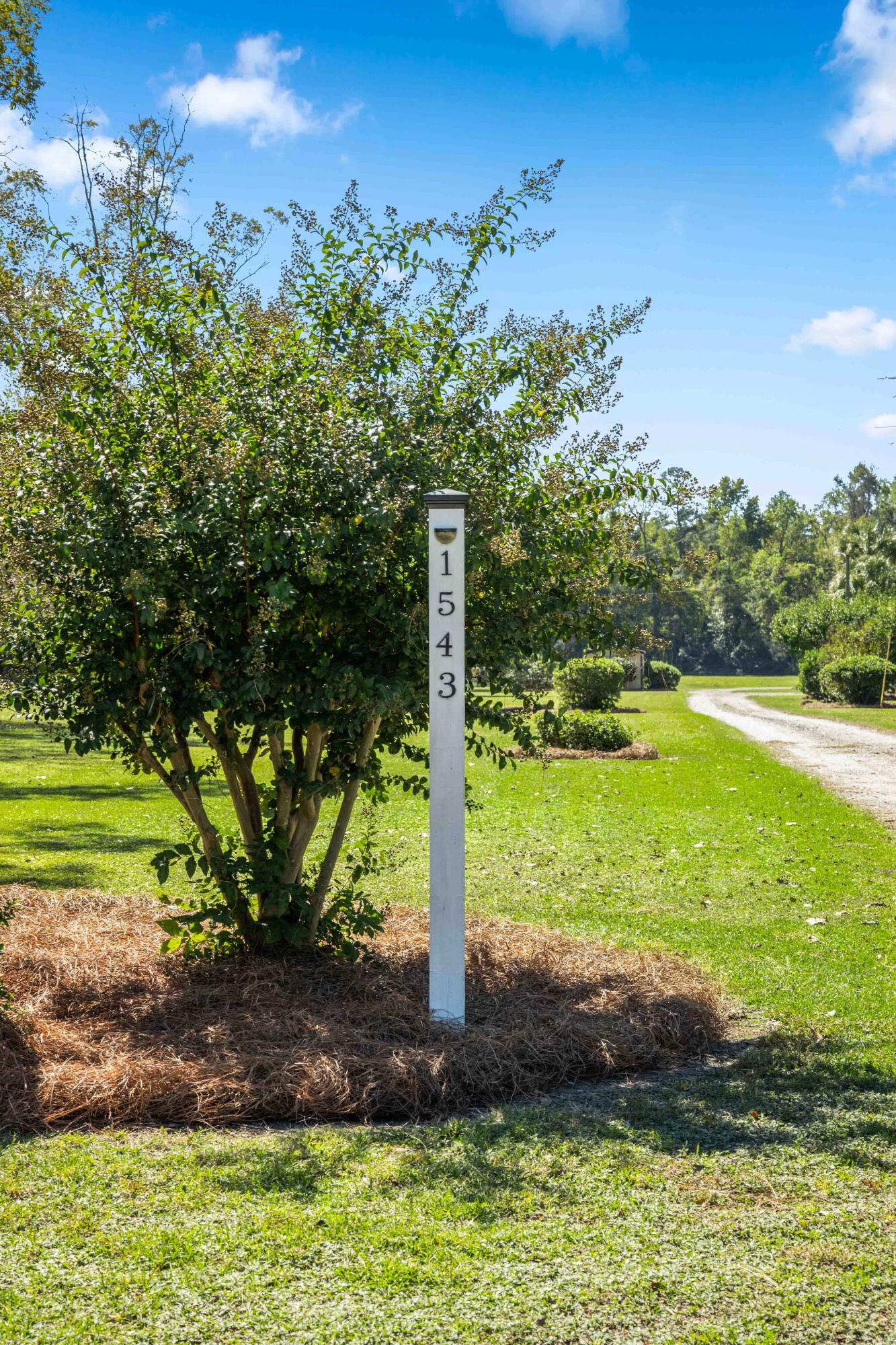 1543 Highway 61 Ridgeville, SC 29472 - Photo 67 of 70 1543 Highway 61 Exteriors-1