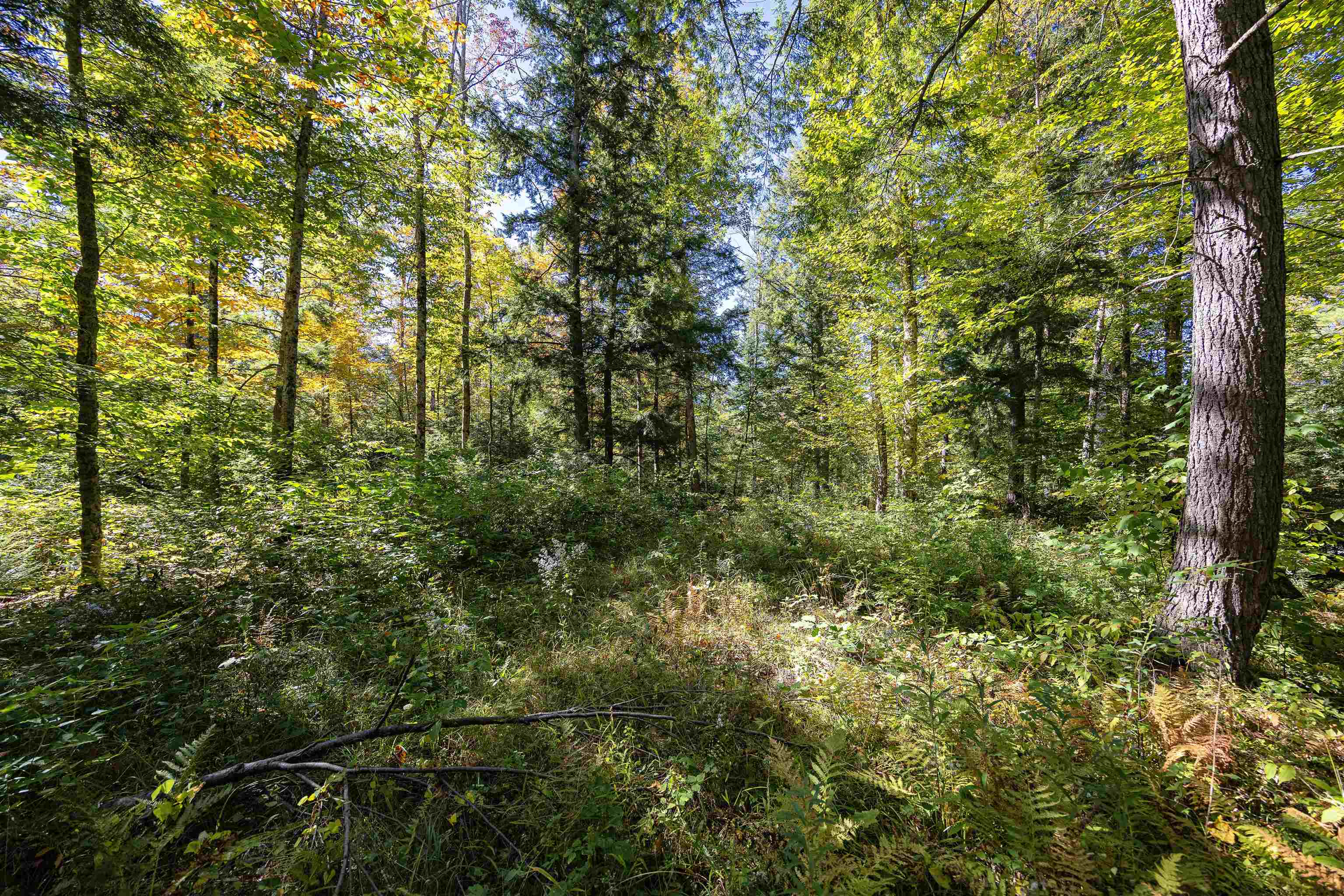 0 Garland Hill Barnet, VT 05821 - Photo 8 of 13 Gallery Image 8