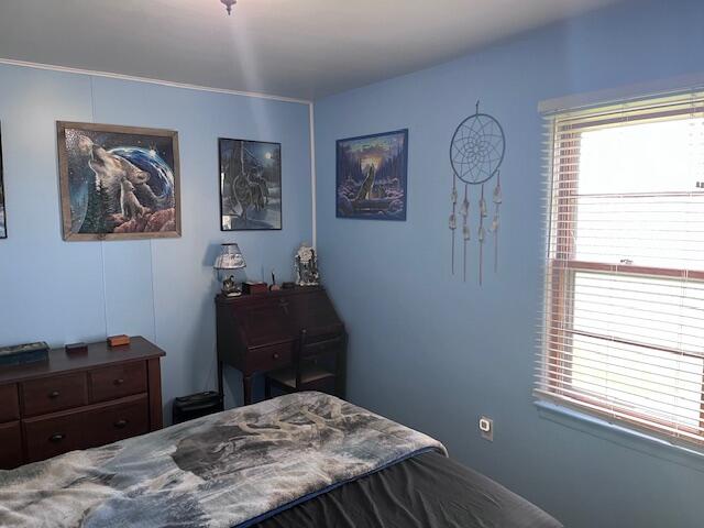 2991 Blades Road Beaverton, MI 48612 - Photo 24 of 36 IMG_9503