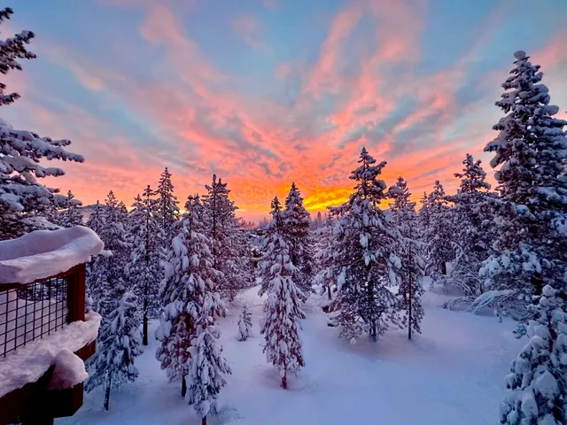 a view of a house with a windows