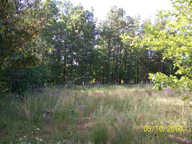 2339 Blackstock Road Pauline, SC 29374 - Photo 8 of 8 Gallery Image 8