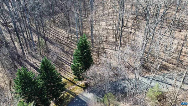 a view of yard