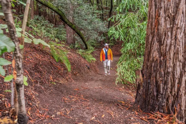 $6,495,000 | 28 Marsh Drive, Mill Valley, CA 94941