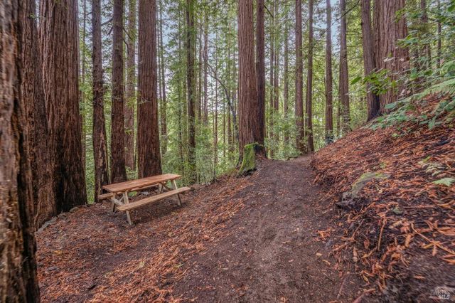 $6,495,000 | 28 Marsh Drive, Mill Valley, CA 94941