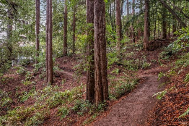 $6,495,000 | 28 Marsh Drive, Mill Valley, CA 94941