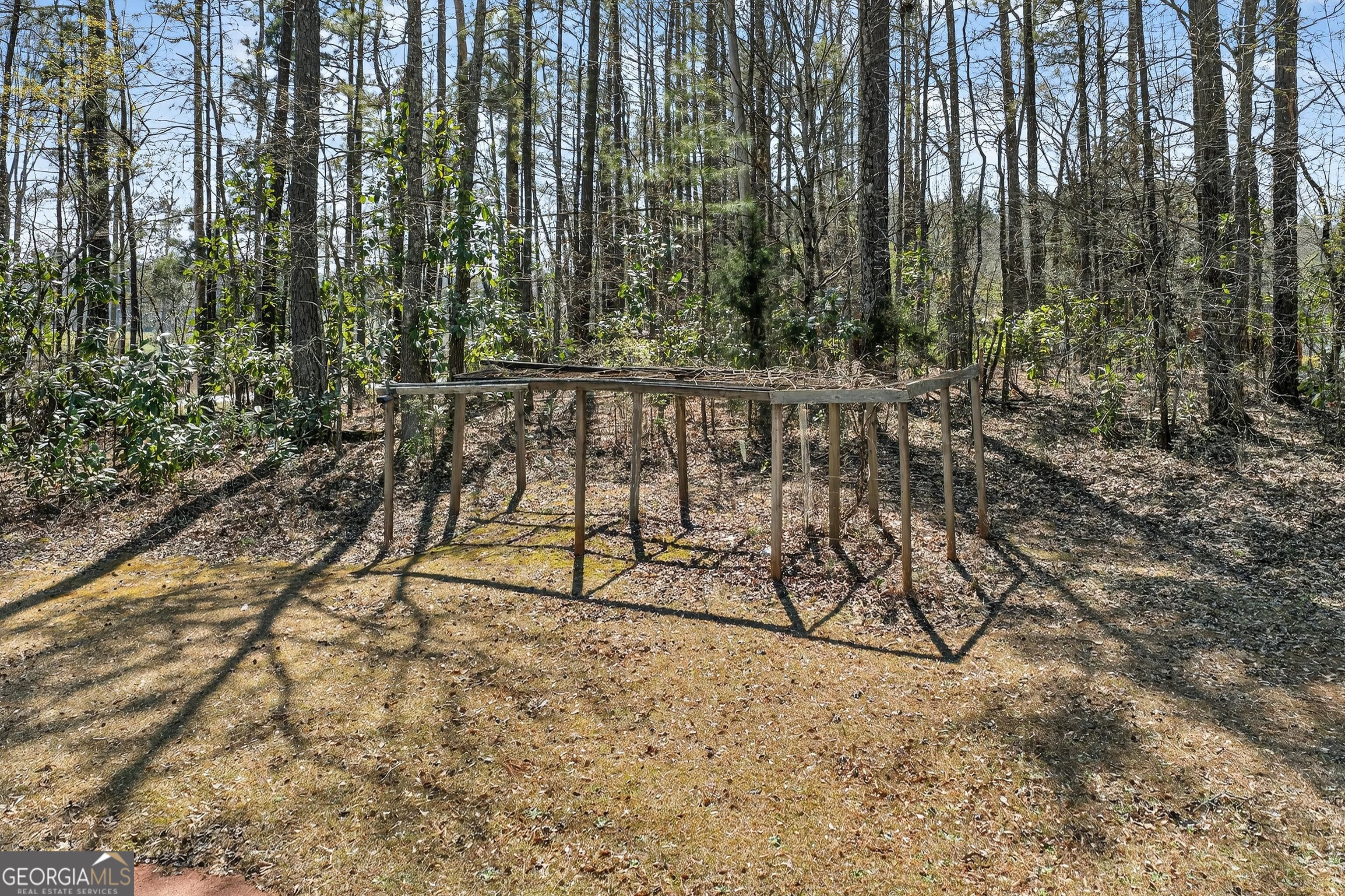 147 Little Road Newnan, GA 30263 - Photo 54 of 60