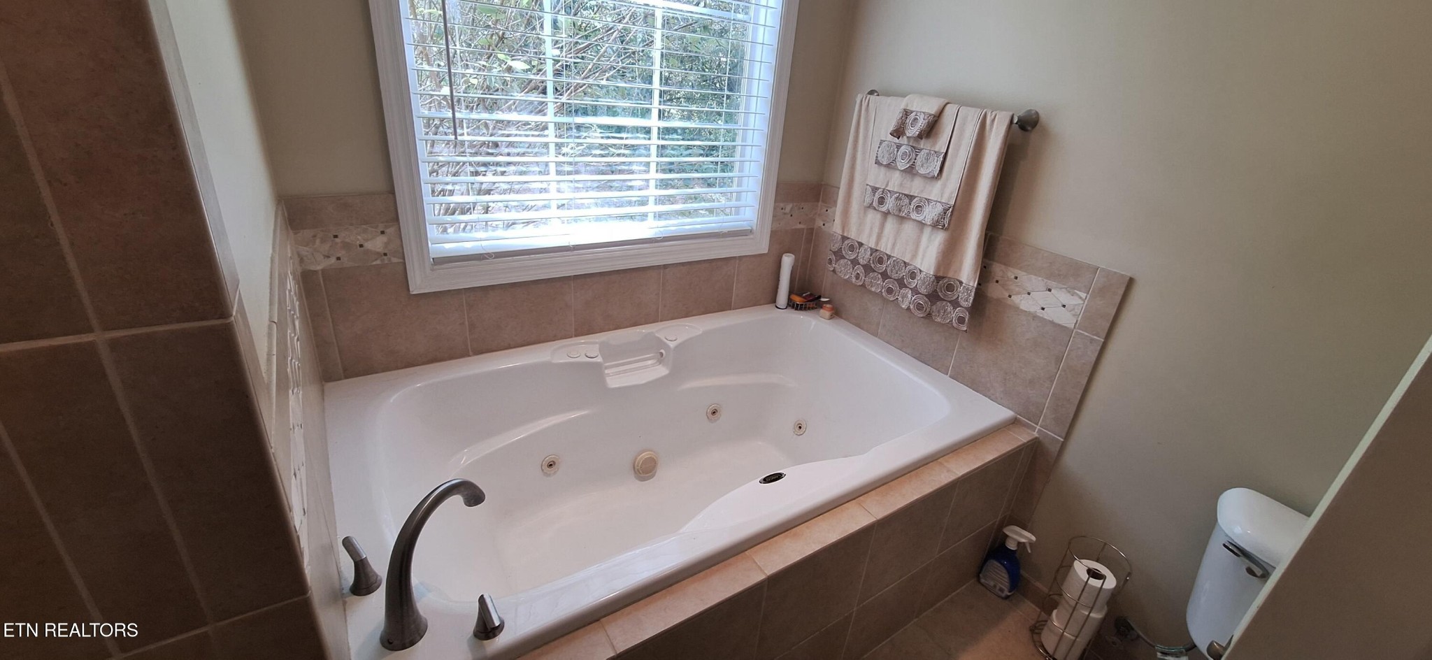 6199 Sinking Creek Road Greenback, TN 37742 - Photo 29 of 33 a bathroom with a bathtub and a window