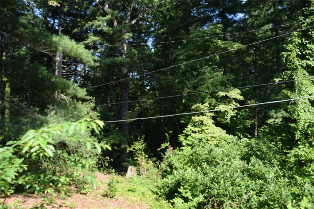 725 Country Club Road Mount Airy, NC 27030 - Photo 10 of 40 Gallery Image 10