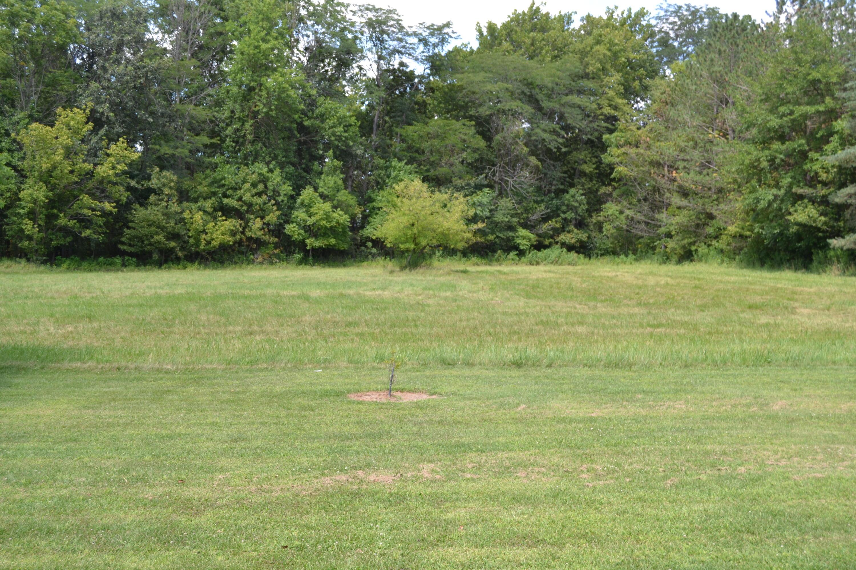 9000 Welsh Road Radnor, OH 43066 - Photo 24 of 28 Plenty of room to run and play!