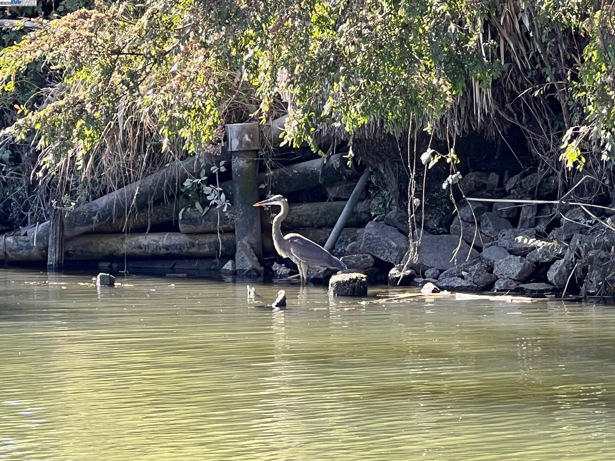 6020 Lindemann Road, Unit 17 Discovery Bay, CA 94505 - Photo 45 of 47