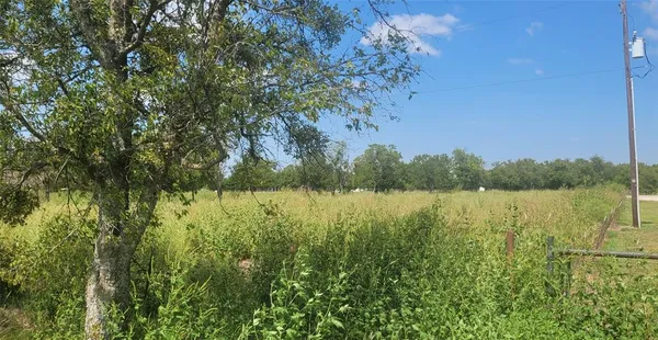 a view of a garden with a lake view