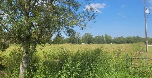 a view of a garden with a lake view