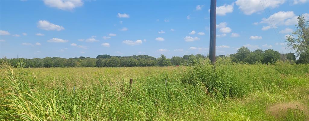 Tbd Holder Road Waxahachie, TX 75165 - Photo 4 of 8 a view of lake with green space