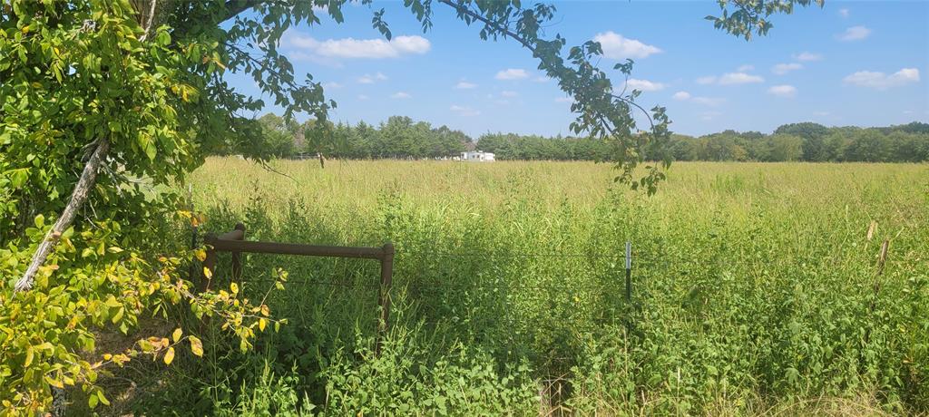 Tbd Holder Road Waxahachie, TX 75165 - Photo 6 of 8 a view of lake with houses in the background