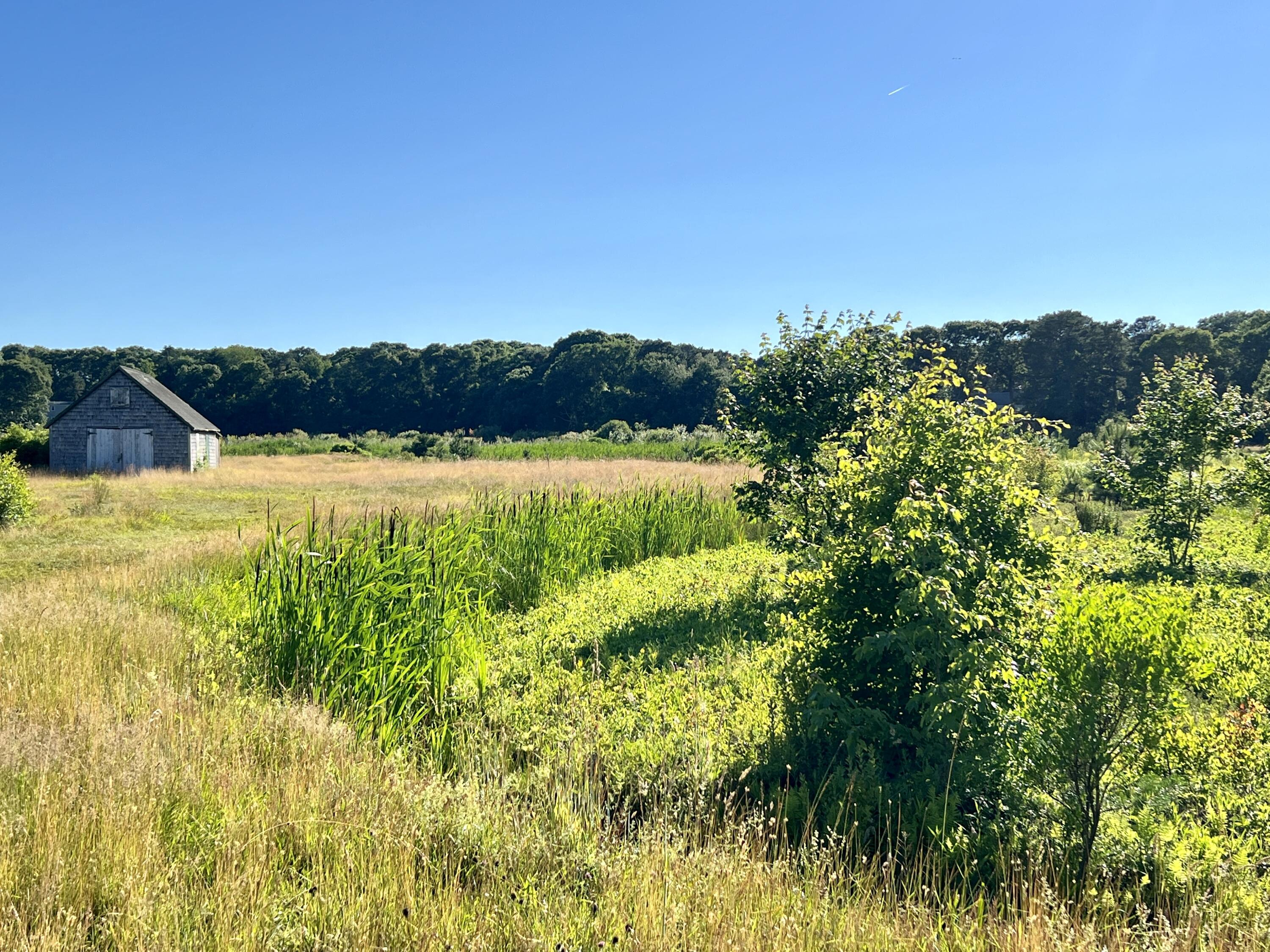 36 Freeman Road Yarmouth Port, MA 02675 - Photo 24 of 25 1A8E4AC2-B2C6-43D2-8CFF-F1F90A1C7C77