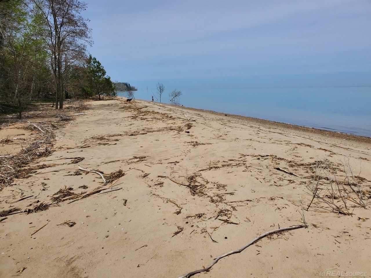 Tbd Lakeshore Road Palms, MI 48465 - Photo 2 of 3