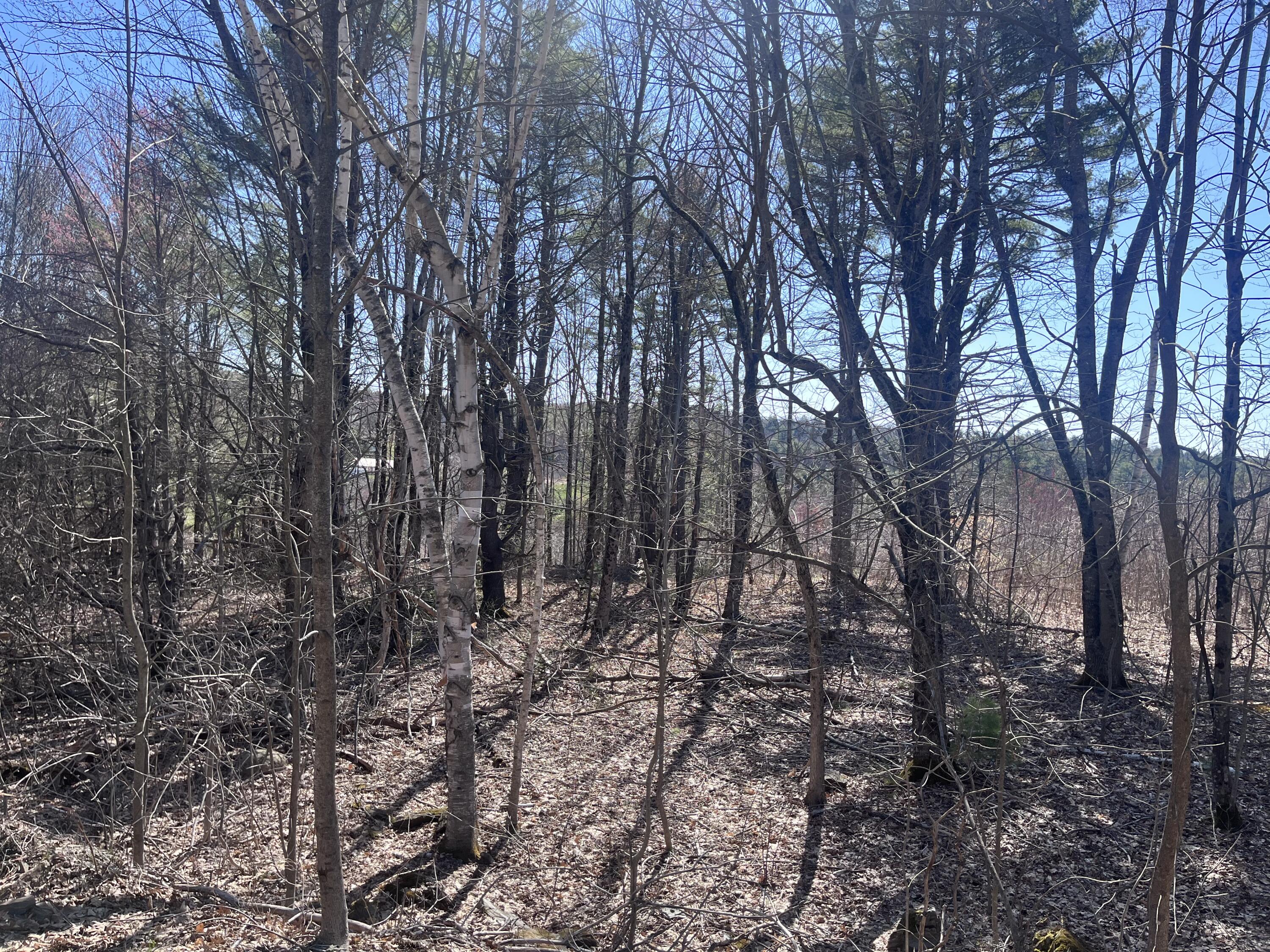 Lot 16 North Reynolds Road Winslow, ME 04901 - Photo 1 of 3 1 Land