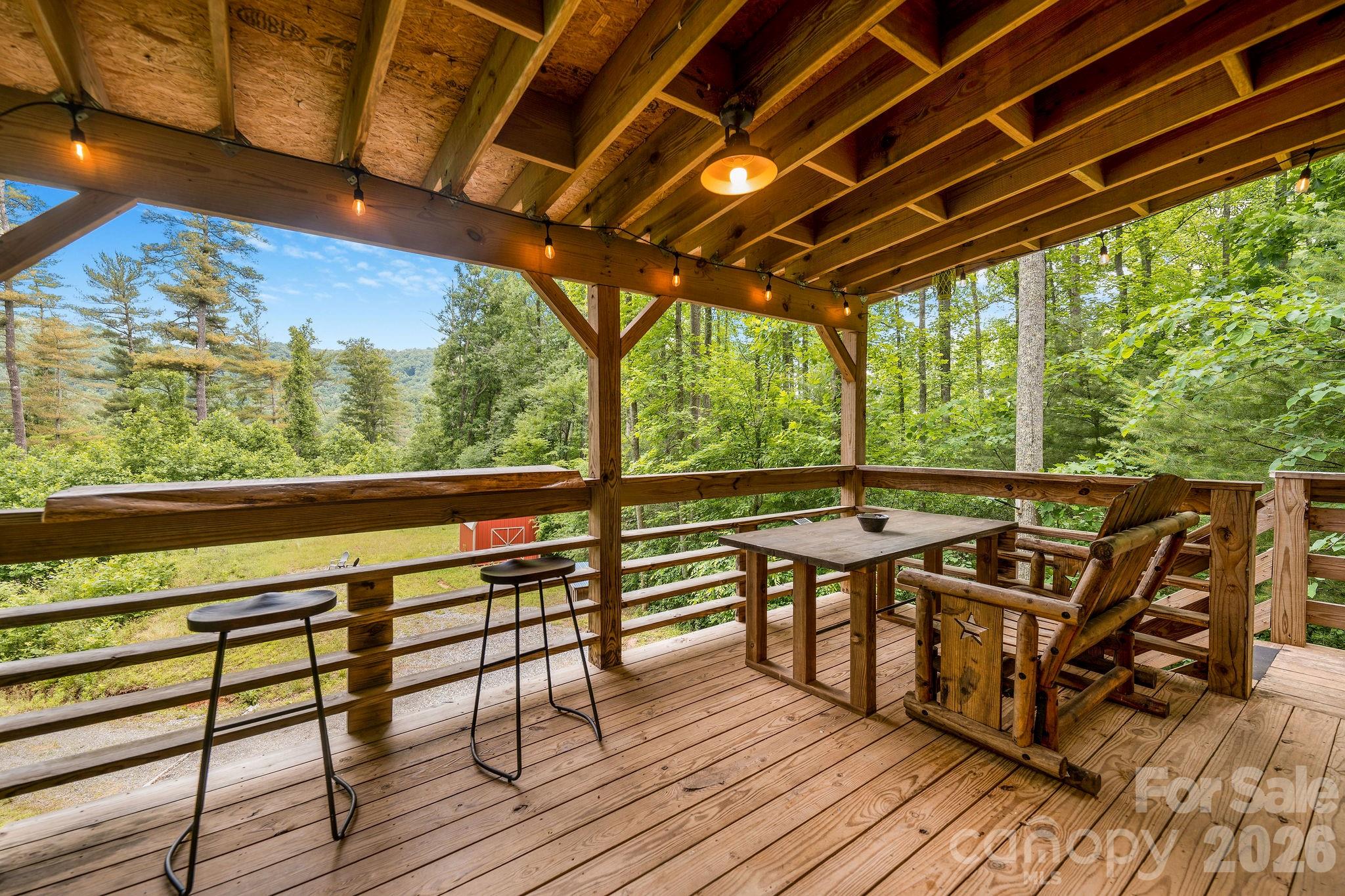 2504 Upper Paw Paw Road Marshall, NC 28753 - Photo 9 of 41